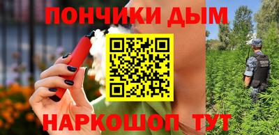 Альфа ПВП Новодвинск