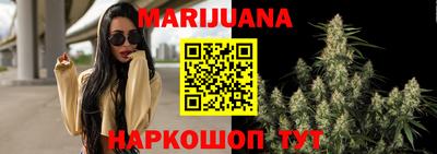 Альфа ПВП Новодвинск