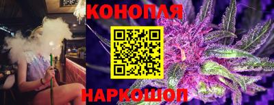 спиды Новокубанск