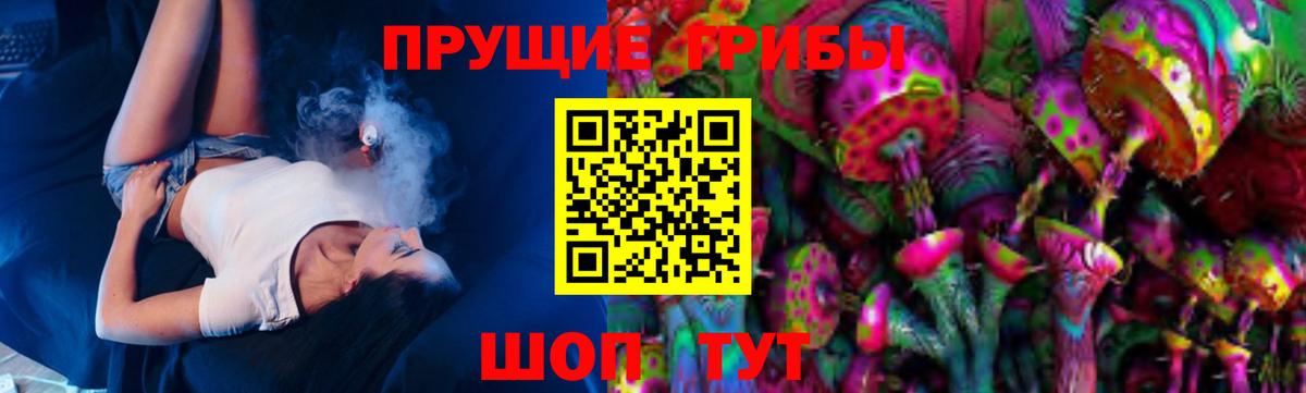 Тихорецк  Галлюциногенные грибы Psilocybe  купить закладку  Вход с VPN 