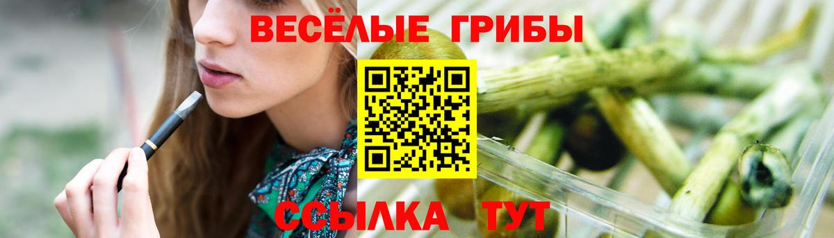 Псилоцибиновые грибы Magic Shrooms Тихорецк